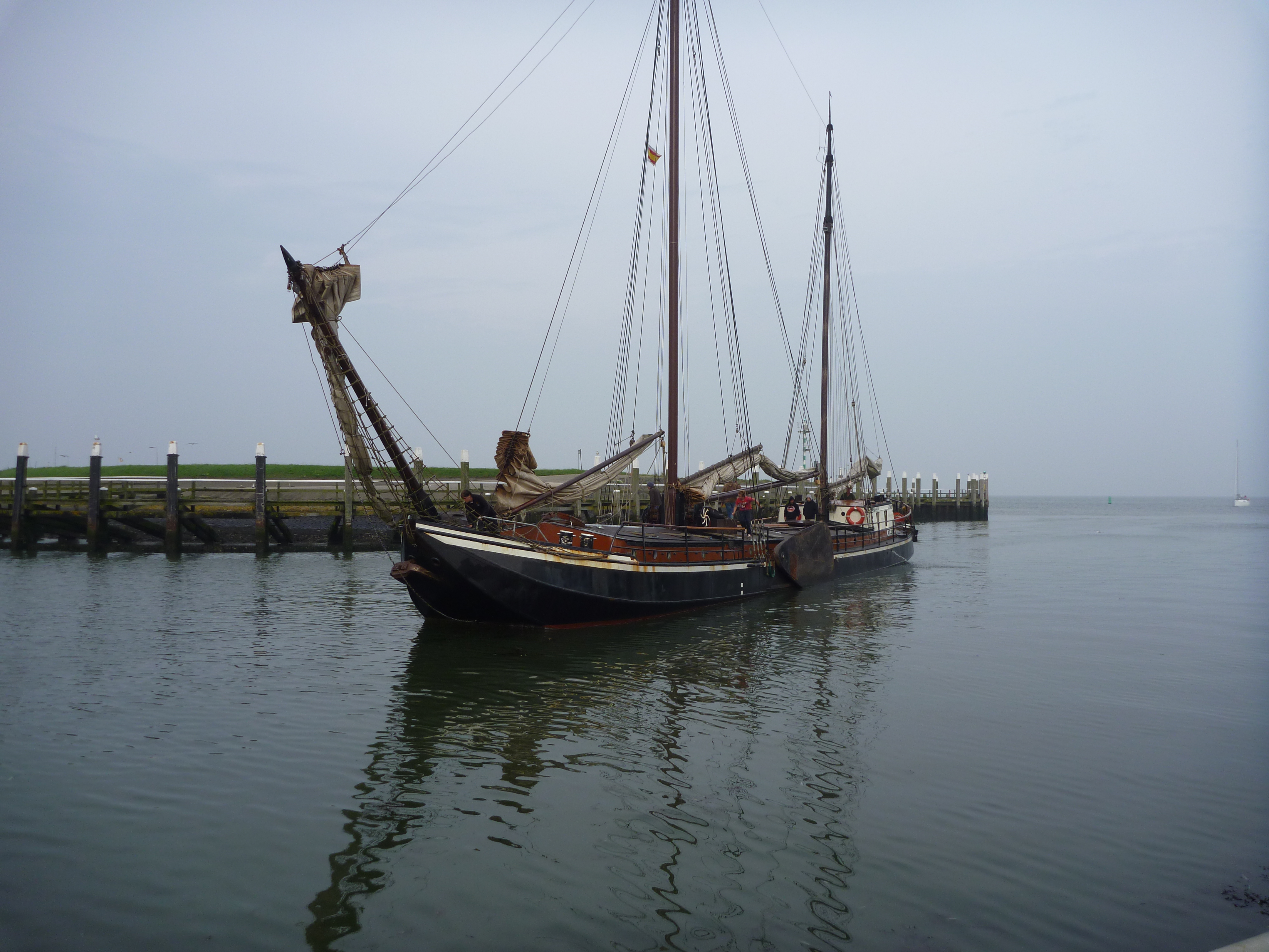 2011 Zeilen048.jpg